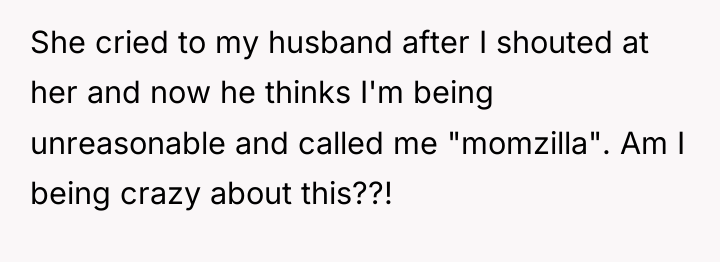 She cried to my husband after I shouted at her...