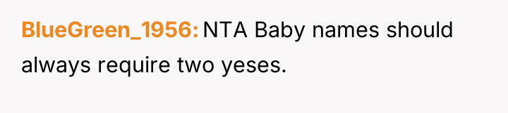 BlueGreen_1956 NTA Baby names should always require two yeses.