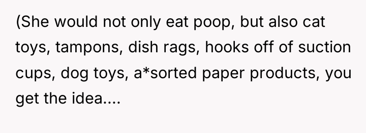 (She would not only eat poop, but also cat toys,...