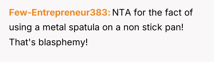 Few-Entrepreneur383 NTA for the fact of using a metal spatula...