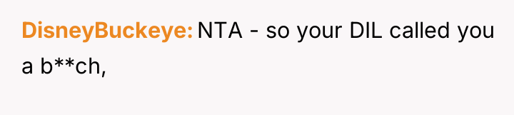 DisneyBuckeye NTA - so your DIL called you a b**ch,