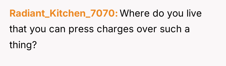 Radiant_Kitchen_7070 Where do you live that you can press charges...