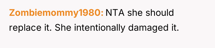 Zombiemommy1980 NTA she should replace it. She intentionally damaged it.