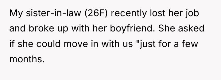 My sister-in-law (26F) recently lost her job and broke up...