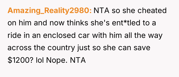 Amazing_Reality2980 NTA so she cheated on him and now thinks...