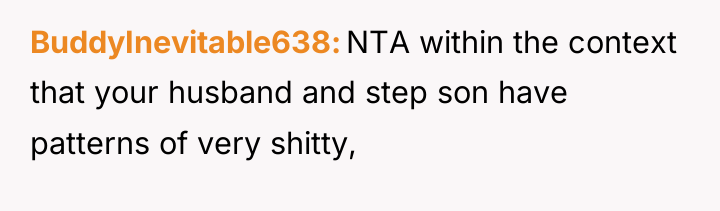 BuddyInevitable638 NTA within the context that your husband and step...
