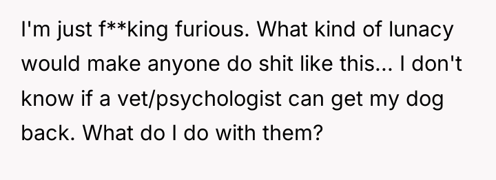 I'm just f**king furious. What kind of lunacy would make...