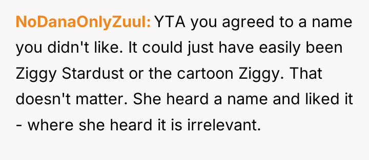 NoDanaOnlyZuuI YTA you agreed to a name you didn't like....
