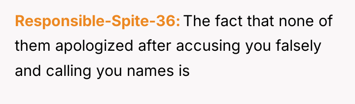 Responsible-Spite-36 The fact that none of them apologized after accusing...