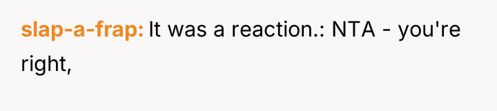 slap-a-frap It was a reaction.: NTA - you're right,