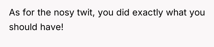 As for the nosy twit, you did exactly what you...
