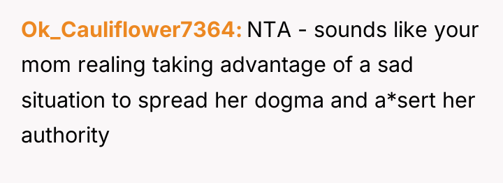 Ok_Cauliflower7364 NTA - sounds like your mom realing taking advantage...