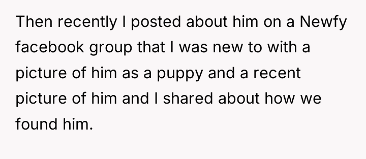 Then recently I posted about him on a Newfy facebook...