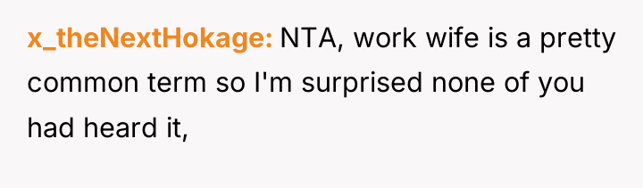 x_theNextHokage NTA, work wife is a pretty common term so...
