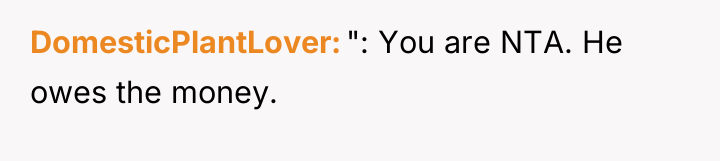 DomesticPlantLover ": You are NTA. He owes the money.
