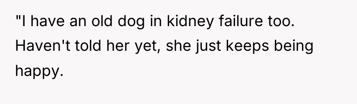 "I have an old dog in kidney failure too. Haven't...