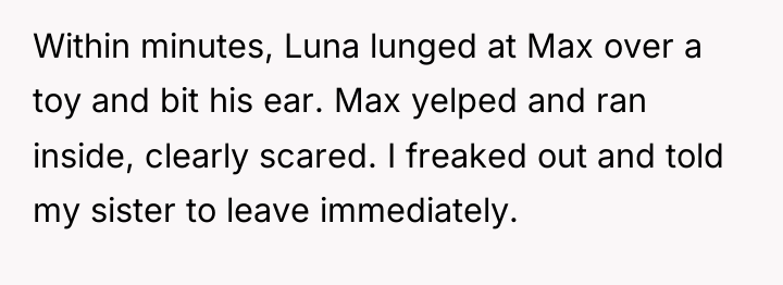 Within minutes, Luna lunged at Max over a toy and...