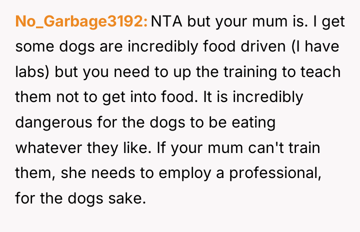 No_Garbage3192 NTA but your mum is. I get some dogs...