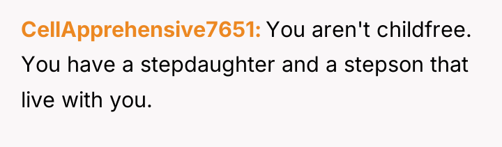 CellApprehensive7651 You aren't childfree. You have a stepdaughter and a...