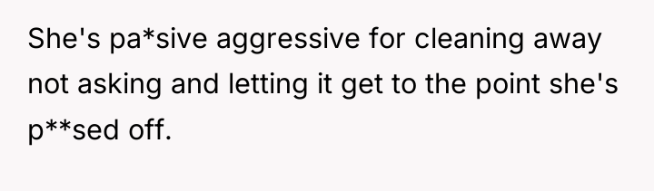 She's pa*sive aggressive for cleaning away not asking and letting...