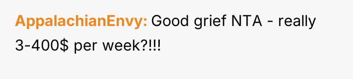 AppalachianEnvy Good grief NTA - really 3-400$ per week?!!!