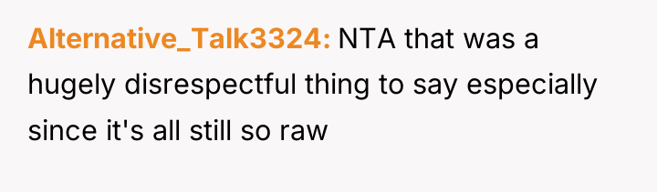 Alternative_Talk3324 NTA that was a hugely disrespectful thing to say...