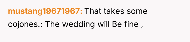 mustang19671967 That takes some cojones.: The wedding will Be fine...
