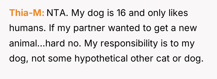 Thia-M NTA. My dog is 16 and only likes humans....
