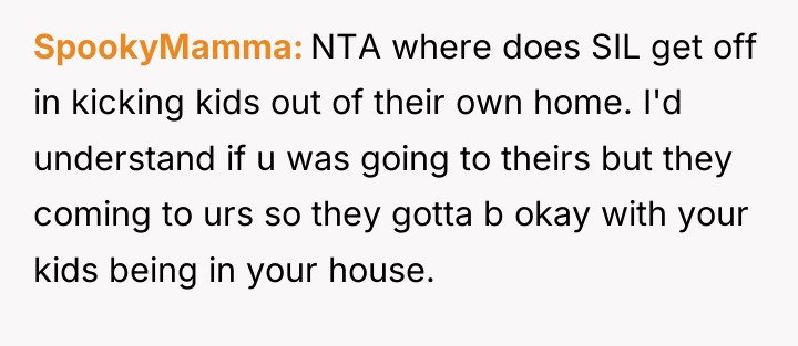 SpookyMamma NTA where does SIL get off in kicking kids...