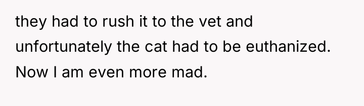 they had to rush it to the vet and unfortunately...