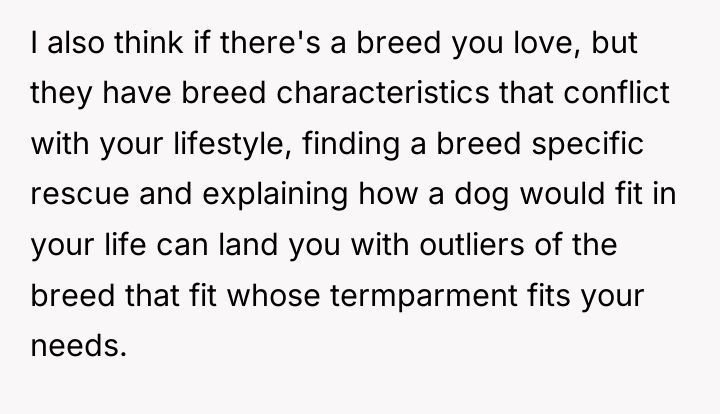 I also think if there's a breed you love, but...
