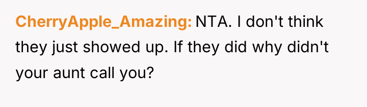 CherryApple_Amazing NTA. I don't think they just showed up. If...