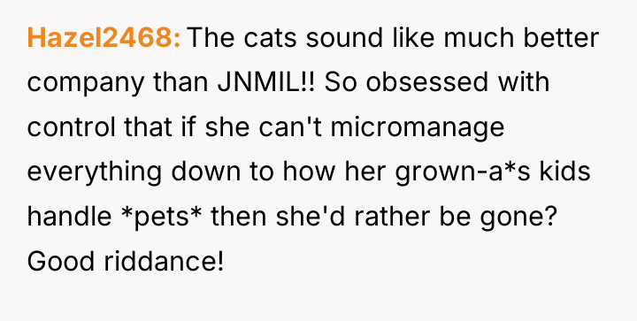 Hazel2468 The cats sound like much better company than JNMIL!!...
