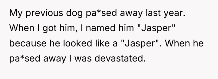 My previous dog pa*sed away last year. When I got...