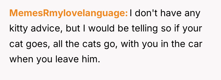 MemesRmylovelanguage I don't have any kitty advice, but I would...