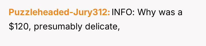 Puzzleheaded-Jury312 INFO: Why was a $120, presumably delicate,