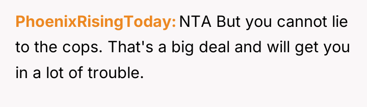 PhoenixRisingToday NTA But you cannot lie to the cops. That's...