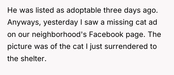 He was listed as adoptable three days ago. Anyways, yesterday...