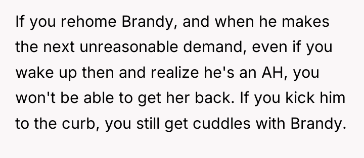 If you rehome Brandy, and when he makes the next...