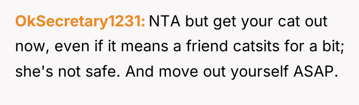 OkSecretary1231 NTA but get your cat out now, even if...