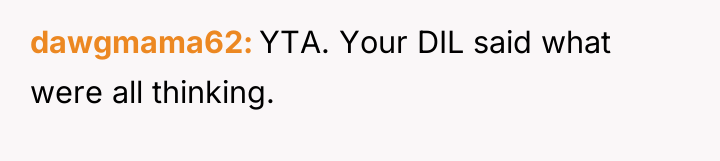 dawgmama62 YTA. Your DIL said what were all thinking.