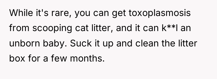 While it's rare, you can get toxoplasmosis from scooping cat...