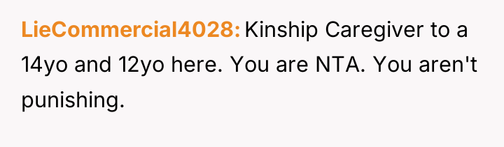 LieCommercial4028 Kinship Caregiver to a 14yo and 12yo here. You...