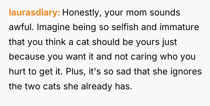laurasdiary Honestly, your mom sounds awful. Imagine being so selfish...