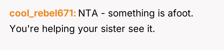 cool_rebel671 NTA - something is afoot. You're helping your sister...