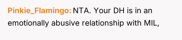 Pinkie_Flamingo NTA. Your DH is in an emotionally abusive relationship...