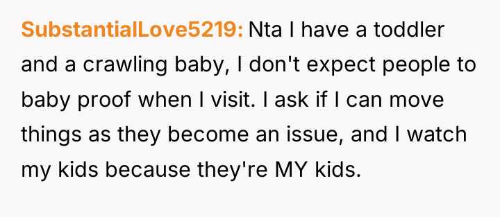 SubstantialLove5219 Nta I have a toddler and a crawling baby,...
