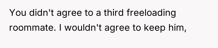 You didn't agree to a third freeloading roommate. I wouldn't...