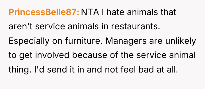 PrincessBelle87 NTA I hate animals that aren't service animals in...