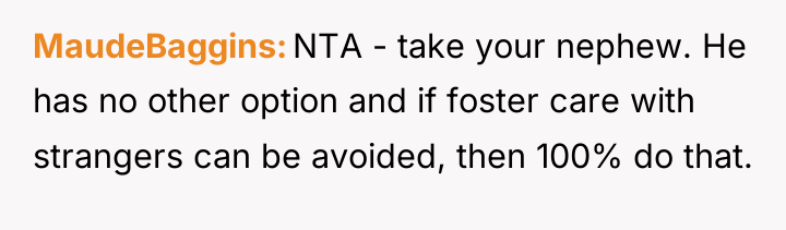MaudeBaggins NTA - take your nephew. He has no other...